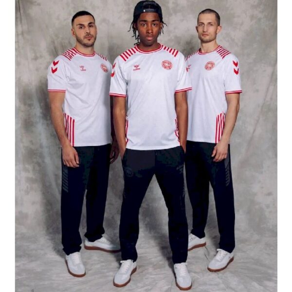 Denmark 2022 Limited Edition Jersey
