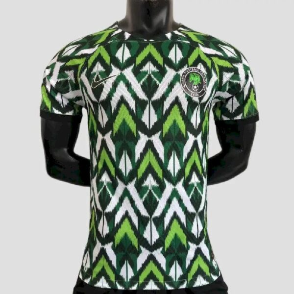 Nigeria 2022 Home Player Version Jersey 40406