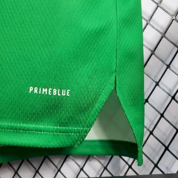 Northern Ireland 2022 Home Jersey 51478